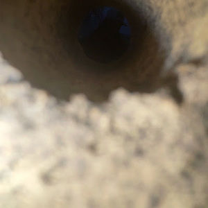 Meet your Posher, Jay